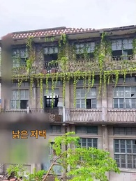 47화 - 한 달 기한의 결혼