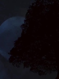 Os Desejos Escondidos do Meu Marido - Episode 64