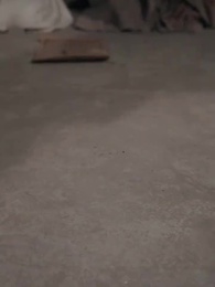 Revenge, Bond and Guilt - Episode 9