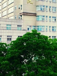 Ayah Yang Ajaib - Episode 19