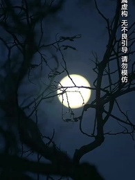 第2集 - 明月何時還