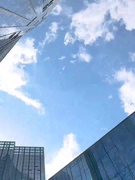 第38集 - 封總,你家崽崽全球找爹了