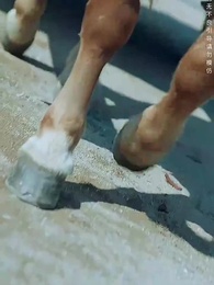 既見太子，為何不拜 - Episode 46