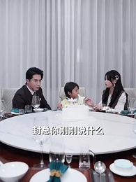 第52集 - 封總，你家崽崽全球找爹了