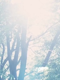 Episodio 62 - Los Secretos de Mi Esposo