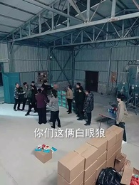 第23集 - 豬瘟爆發後，白眼狼村民直呼後悔