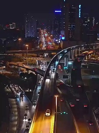 第34集 - 封總,你家崽崽全球找爹了