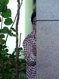 第53集 - 封總，你家崽崽全球找爹了