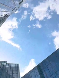 第48集 - 封總，你家崽崽全球找爹了