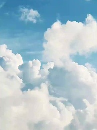 封總，你家崽崽全球找爹了 - Episode 24