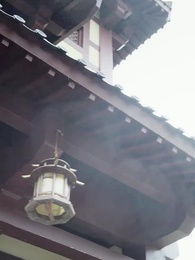 第63話 - 毒医聖手の私がデブ妻に転生した件