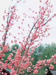 第19集 - 夫君獨寵外室,我轉身出府嫁反派