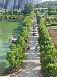 萌寶大反攻 - Episode 6