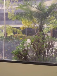 La Vuelta de la Novia Rechazada - Episode 65