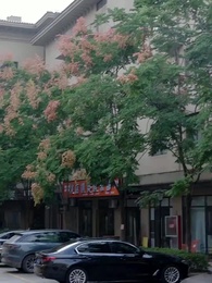 เสน่หาล้อมใจ - Episode 43