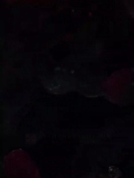 洛陽女兒行 - Episode 1