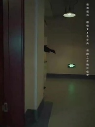 全球直播，你管這叫逃亡？ - Episode 5