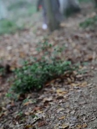 Rising Beyond Heaven - Episode 13