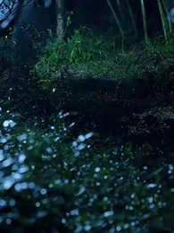 洛陽女兒行 - Episode 75