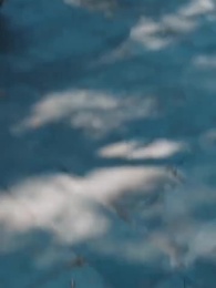 Episode 83 - A Housewife's Counterattack