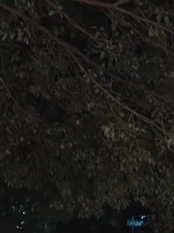 A Housewife's Counterattack - Episode 50