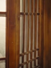 第4話 - 毒医聖手の私がデブ妻に転生した件