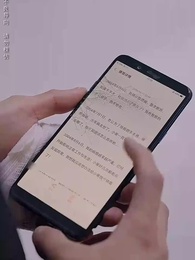 第49集 - 天涯赤子心