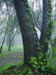 ตอนที่ 67 - เกรงว่าจะสายไป