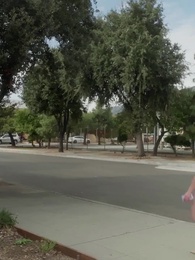 Épisode 80 - Le Retour de Mme la PDG