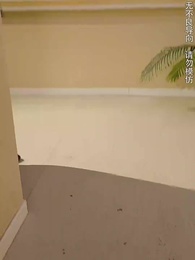 第45集 - 戰鳳嶽母龍神婿