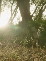 Épisode 45 - [Doublé] La compagne non désirée