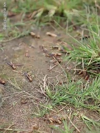 第10集 - 被女帝倒追，傲嬌公主後悔了