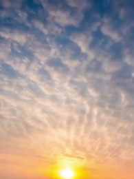 Episodio 47 - La Leyenda del Artista Marcial