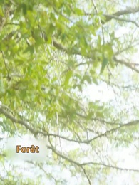 [Doublé] La compagne non désirée - Episode 1