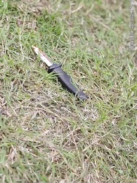 良苦父心 - Episode 24