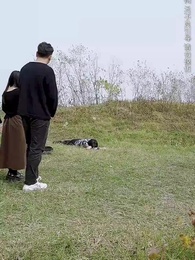 良苦父心 - Episode 19