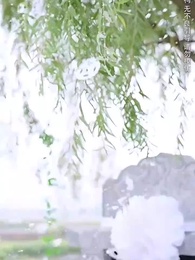 第1集 - 良苦父心