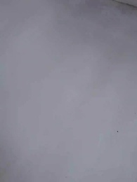 第9集 - 退休後怦然心動遇上你