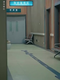 第19集 - 重生之無法割捨的母愛