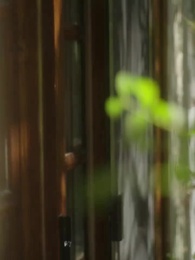 La Marca del Lobo - Episode 53