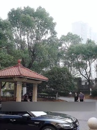 My Husband's Driver Seduces Me - Episode 16