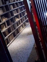 第17集 - 愛散時花落茶靡