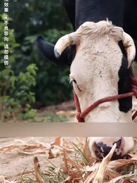 Episode 1 - Pencuri Waktu