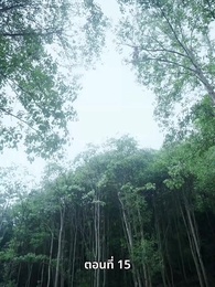 รักทั่วทางช้างเผือก - Episode 15