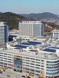 第34話 - 君に恋してやめられない