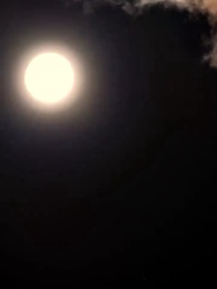 [Synchron] Verbotene Liebe - Episode 48