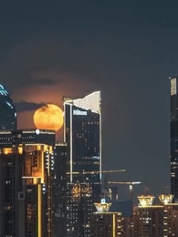 Episode 33 - Find A Husband for His Mother