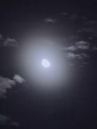 My Unwanted Billionaire Ex - Episode 57