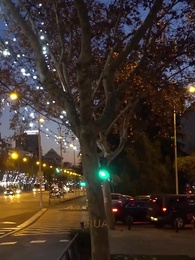 Amarrado à Minha Esposa Desaparecida - Episode 53