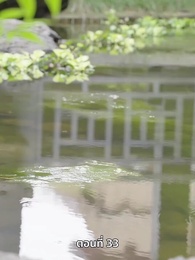 ตอนที่ 33 - ภรรยาเก่งกาจข้ารักนัก